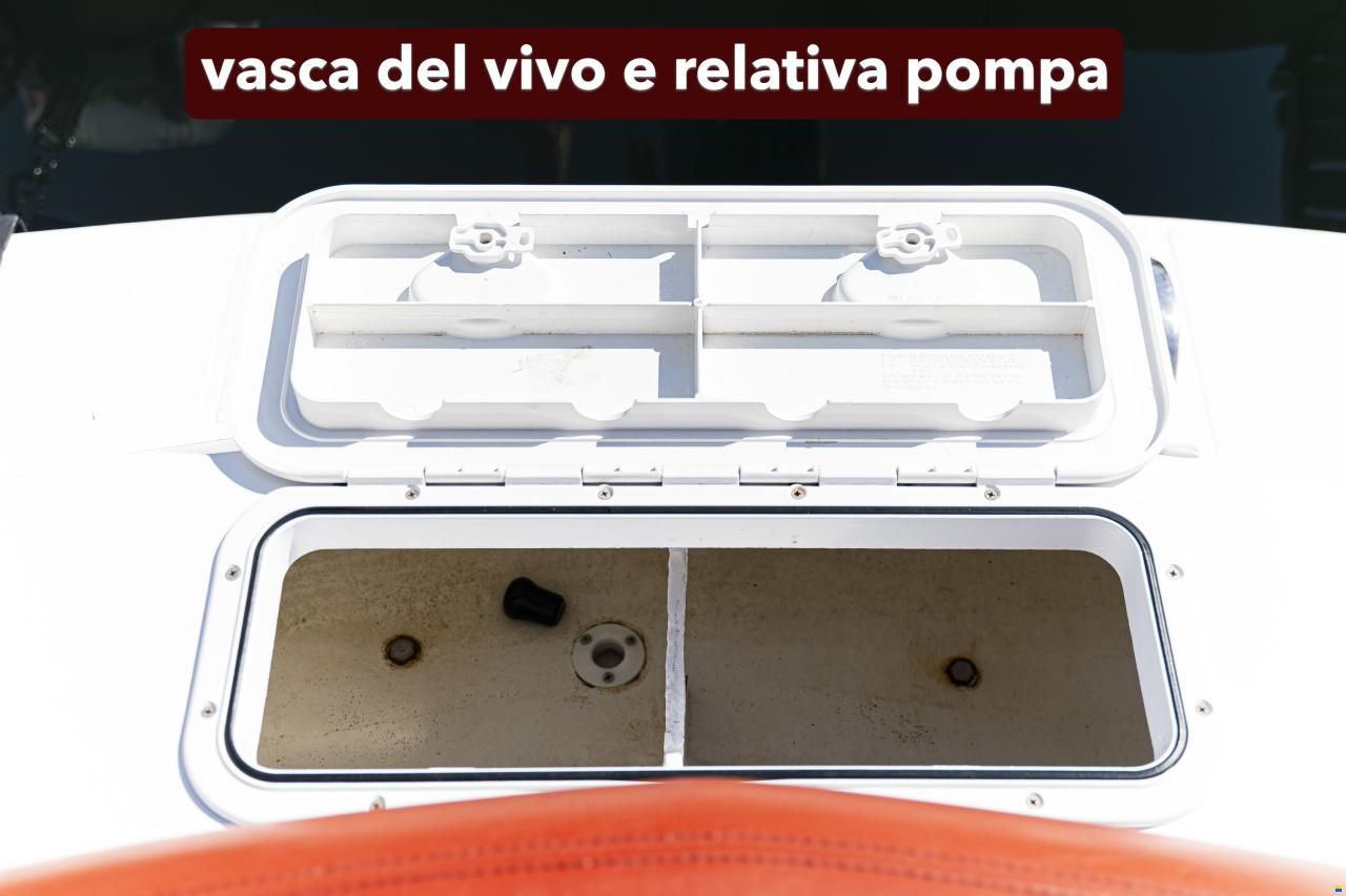 bimax 28 alchimia