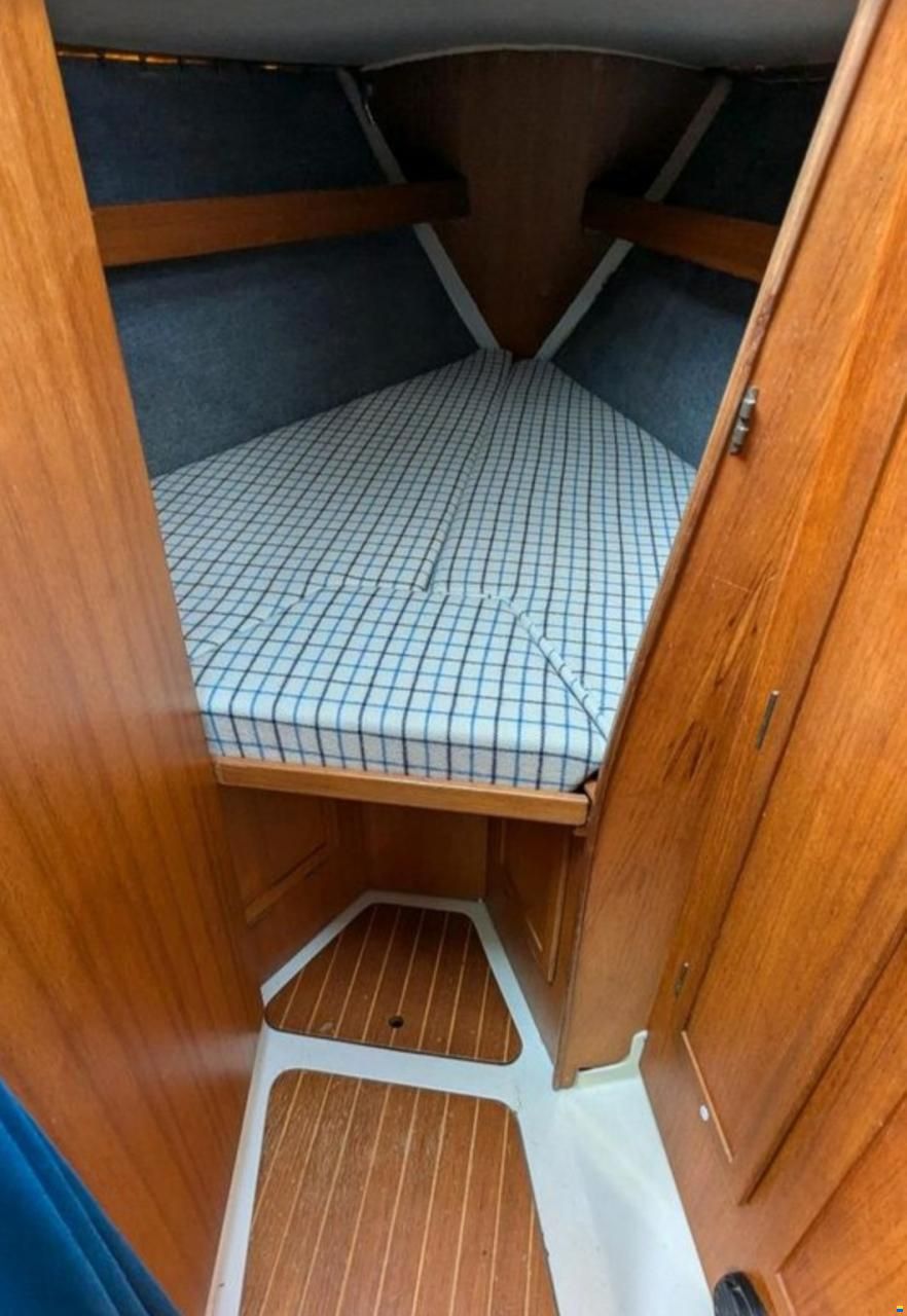 Colina L29