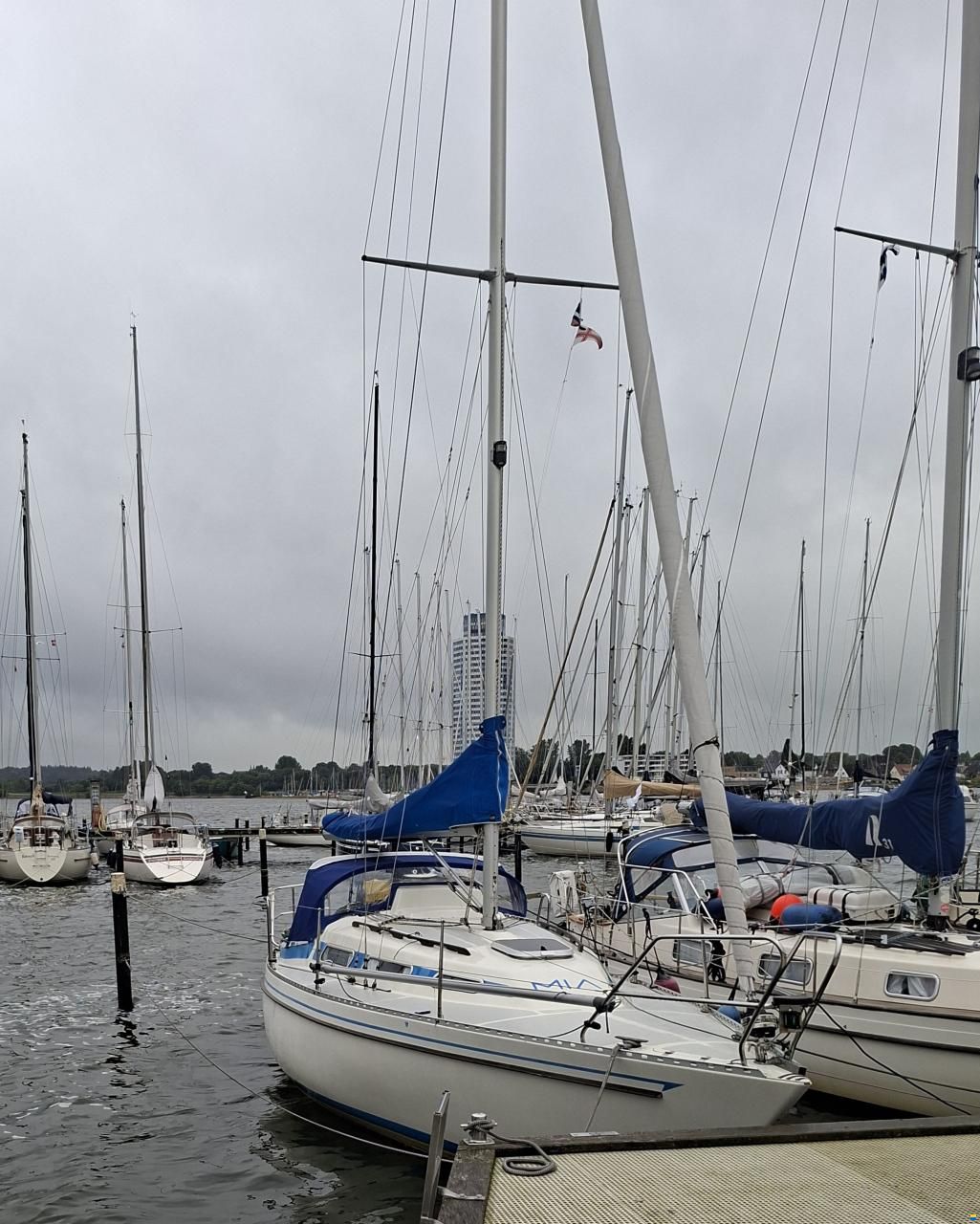 Colina L29
