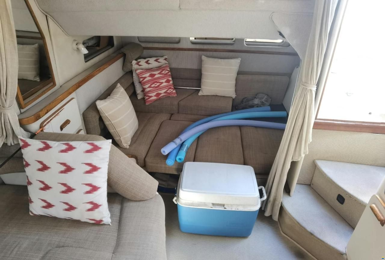 Sea Ray 330