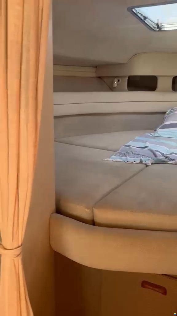 Sea Ray 330