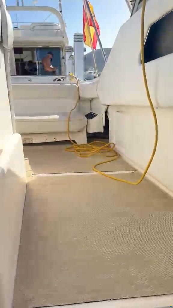 Sea Ray 330