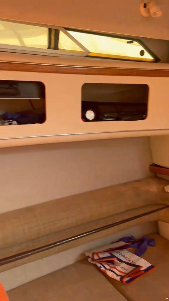 Sea Ray 330