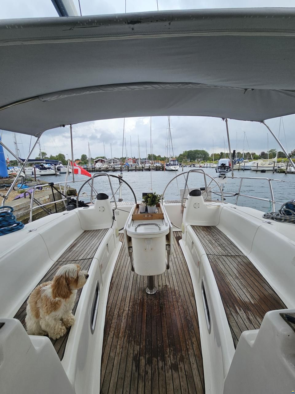 Bavaria 44