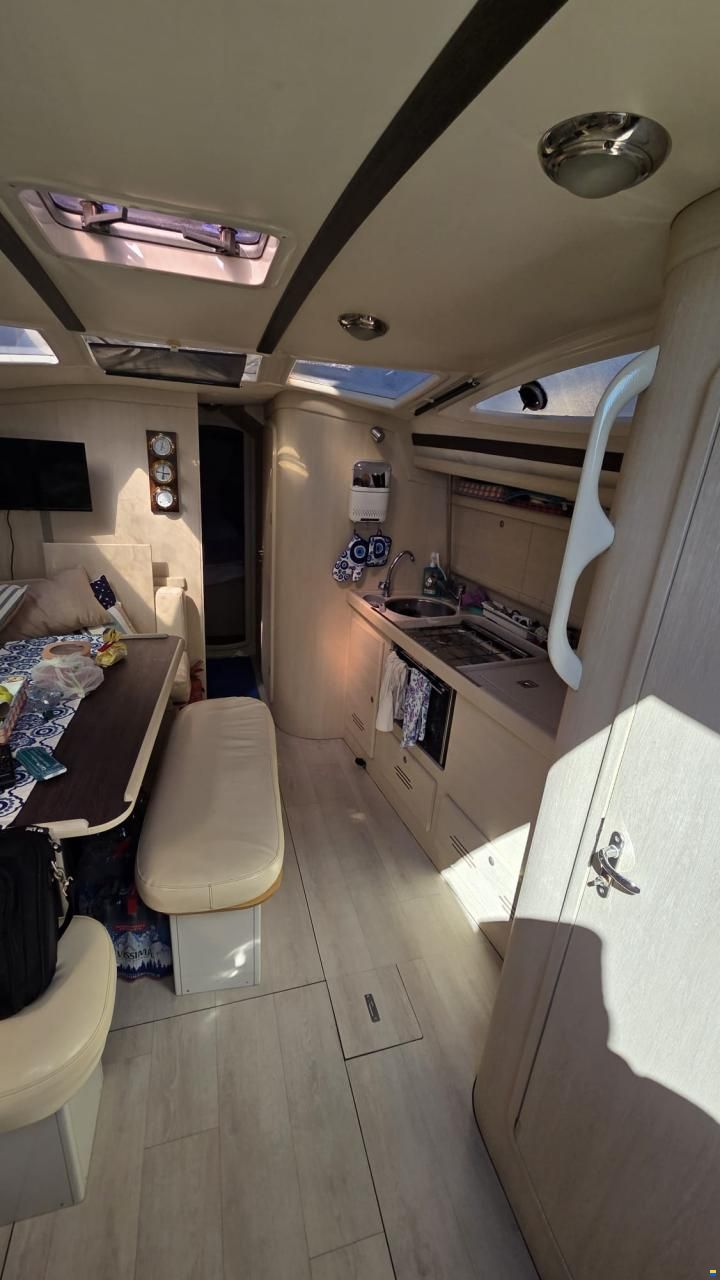 Delphia 40