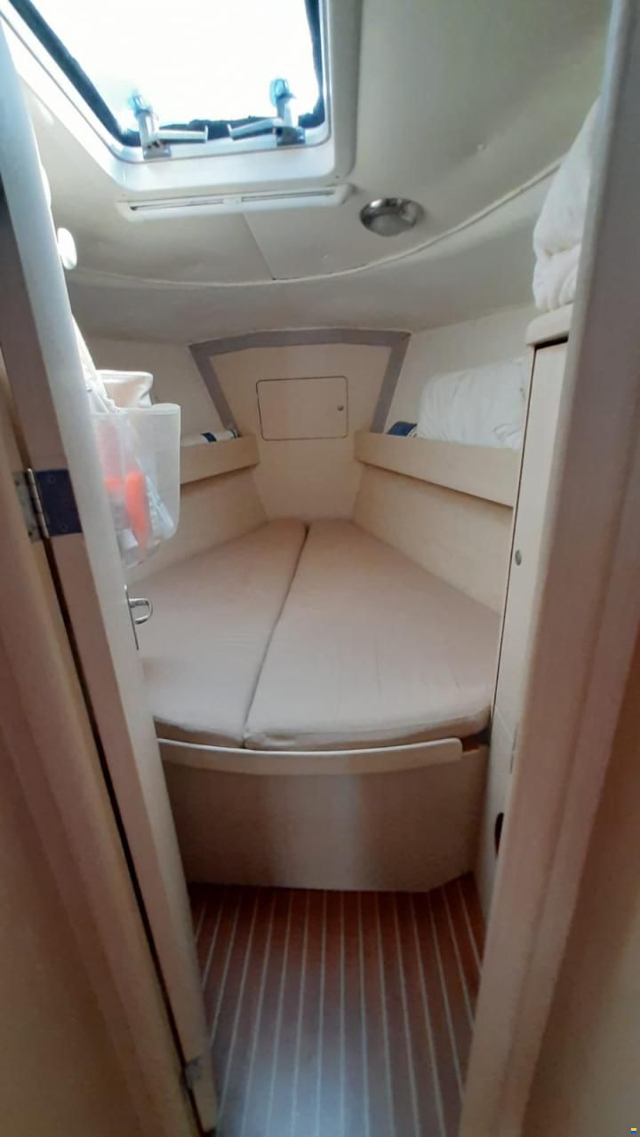 Delphia 40
