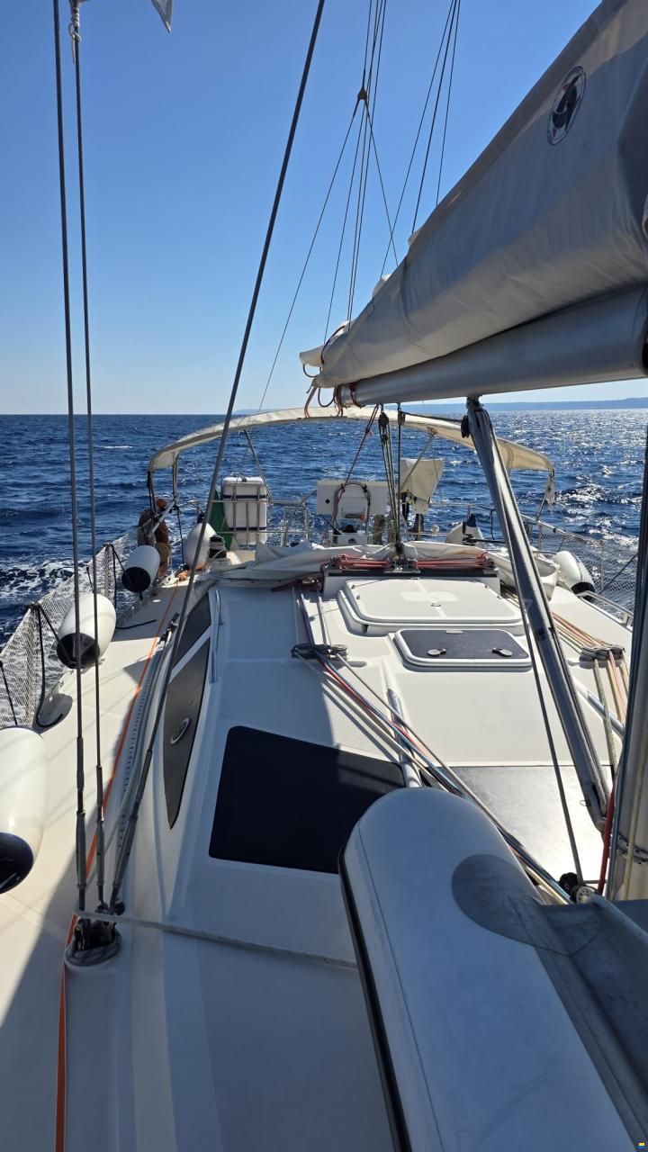 Delphia 40