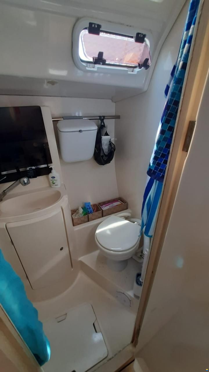 Delphia 40
