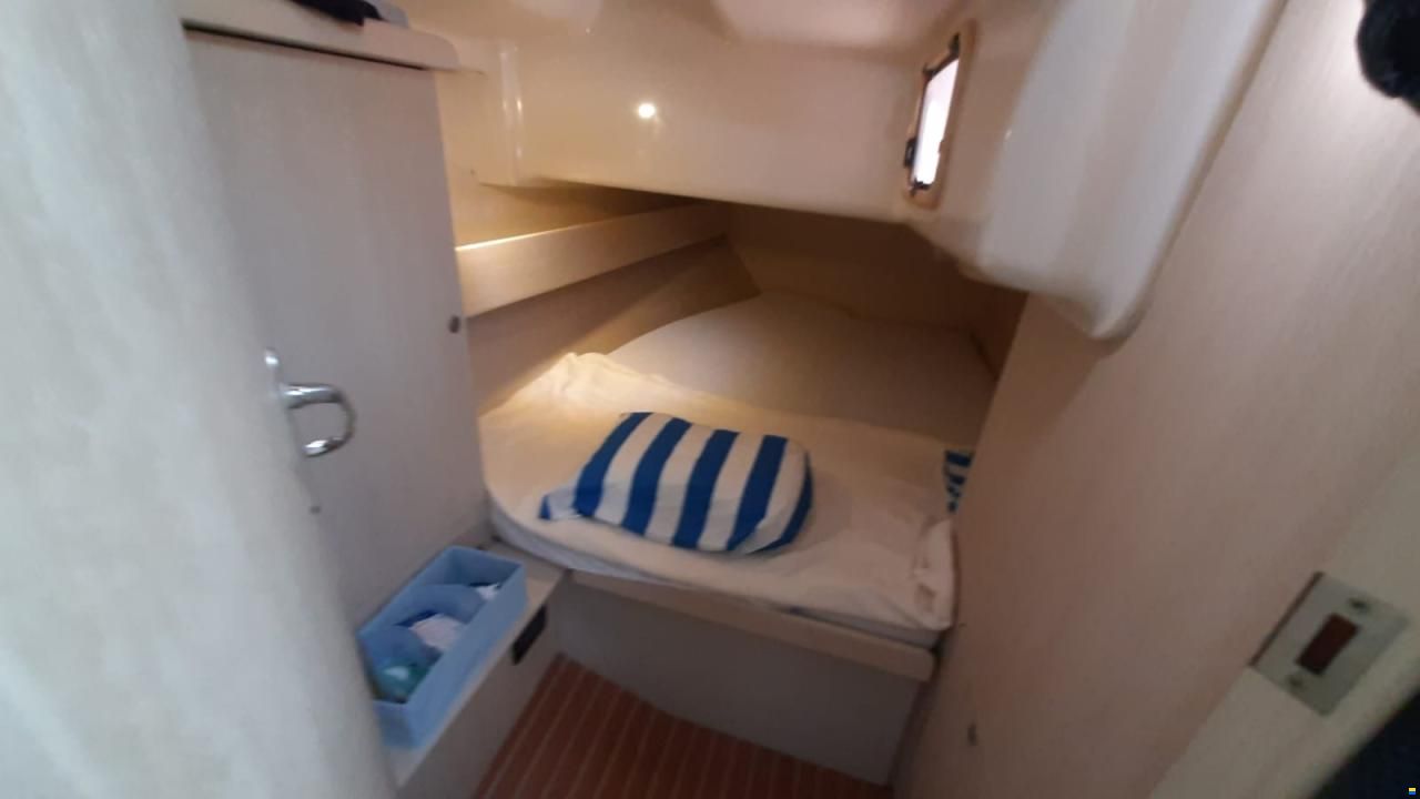 Delphia 40