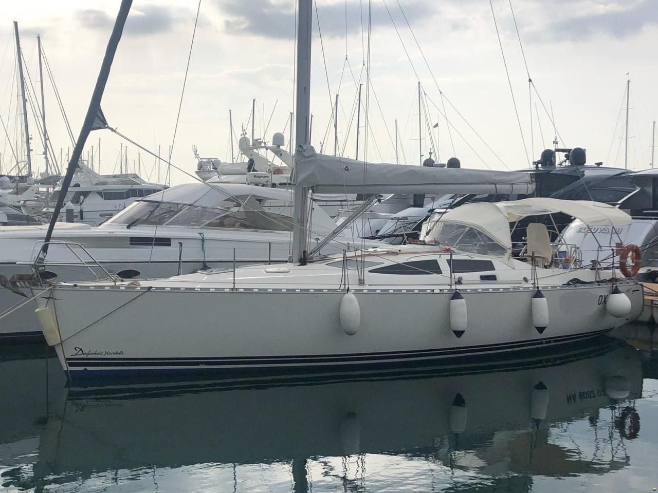 Delphia 40