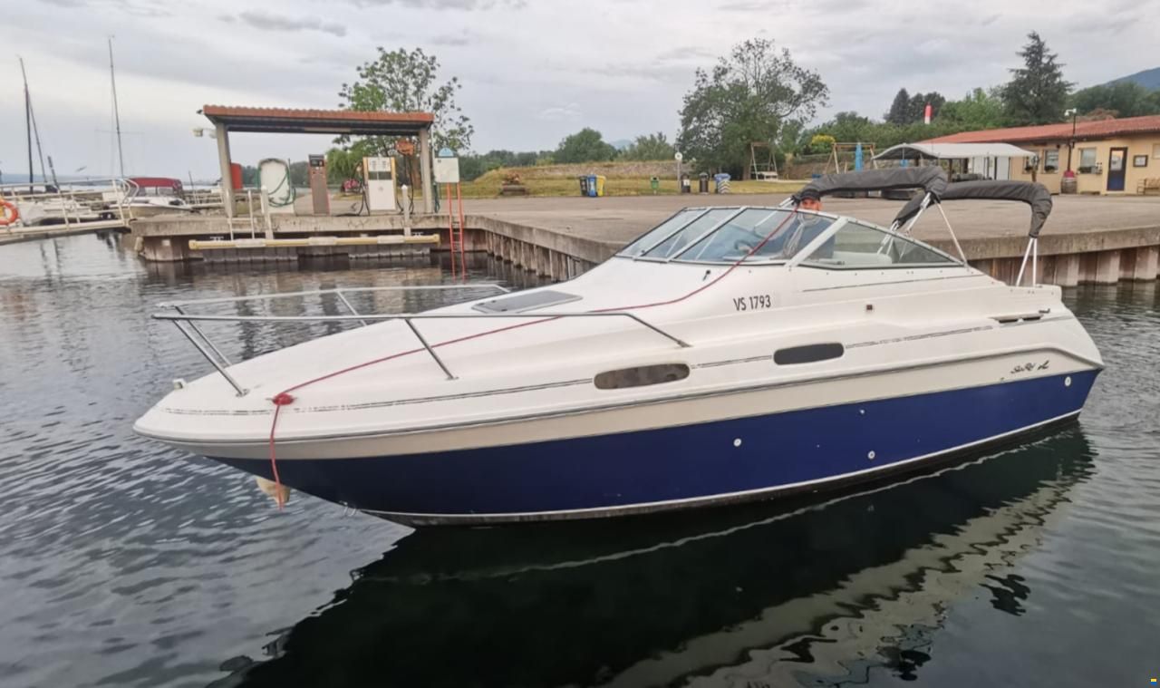 Sea Ray 230