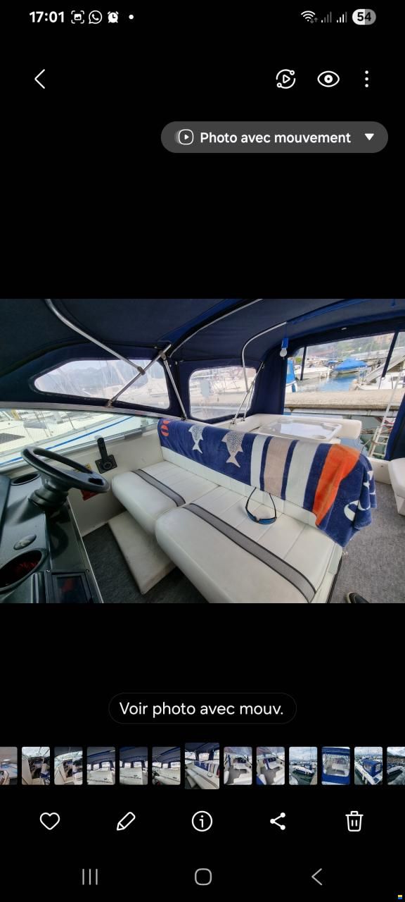 Sea Ray 230