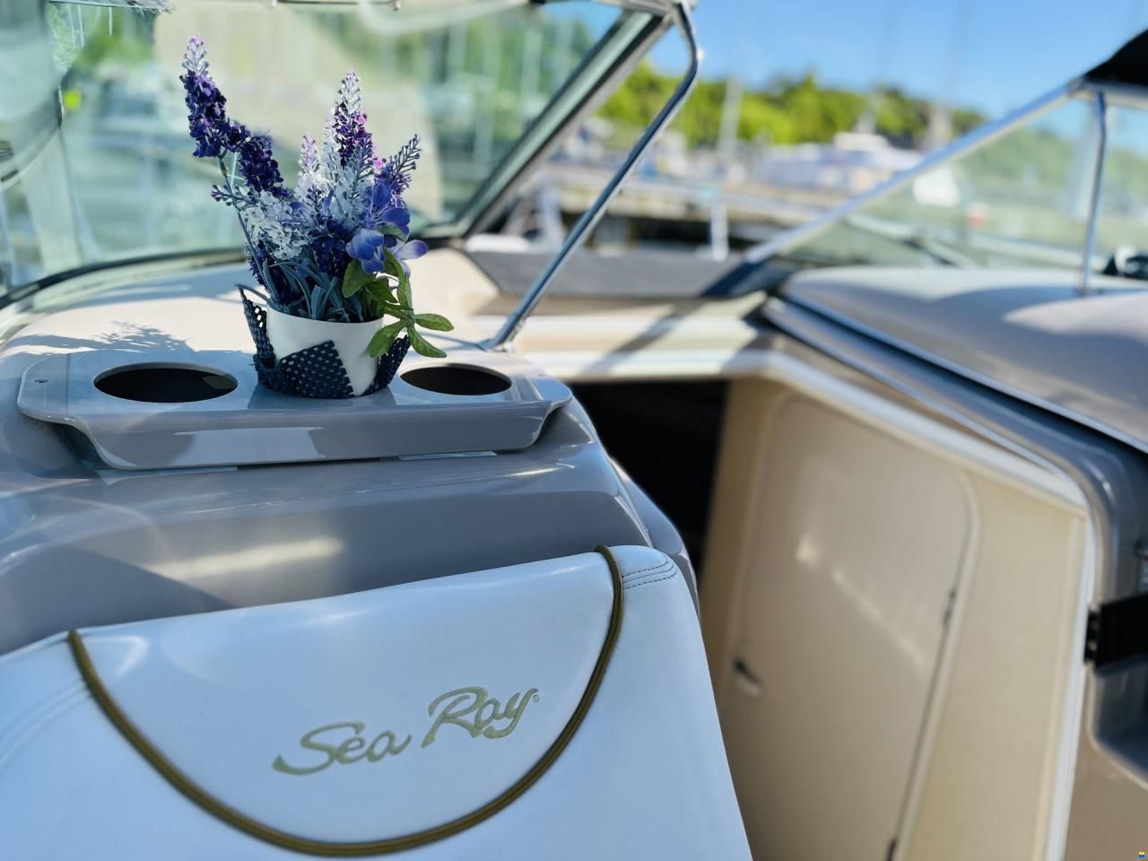 Sea Ray 260 Sundancer