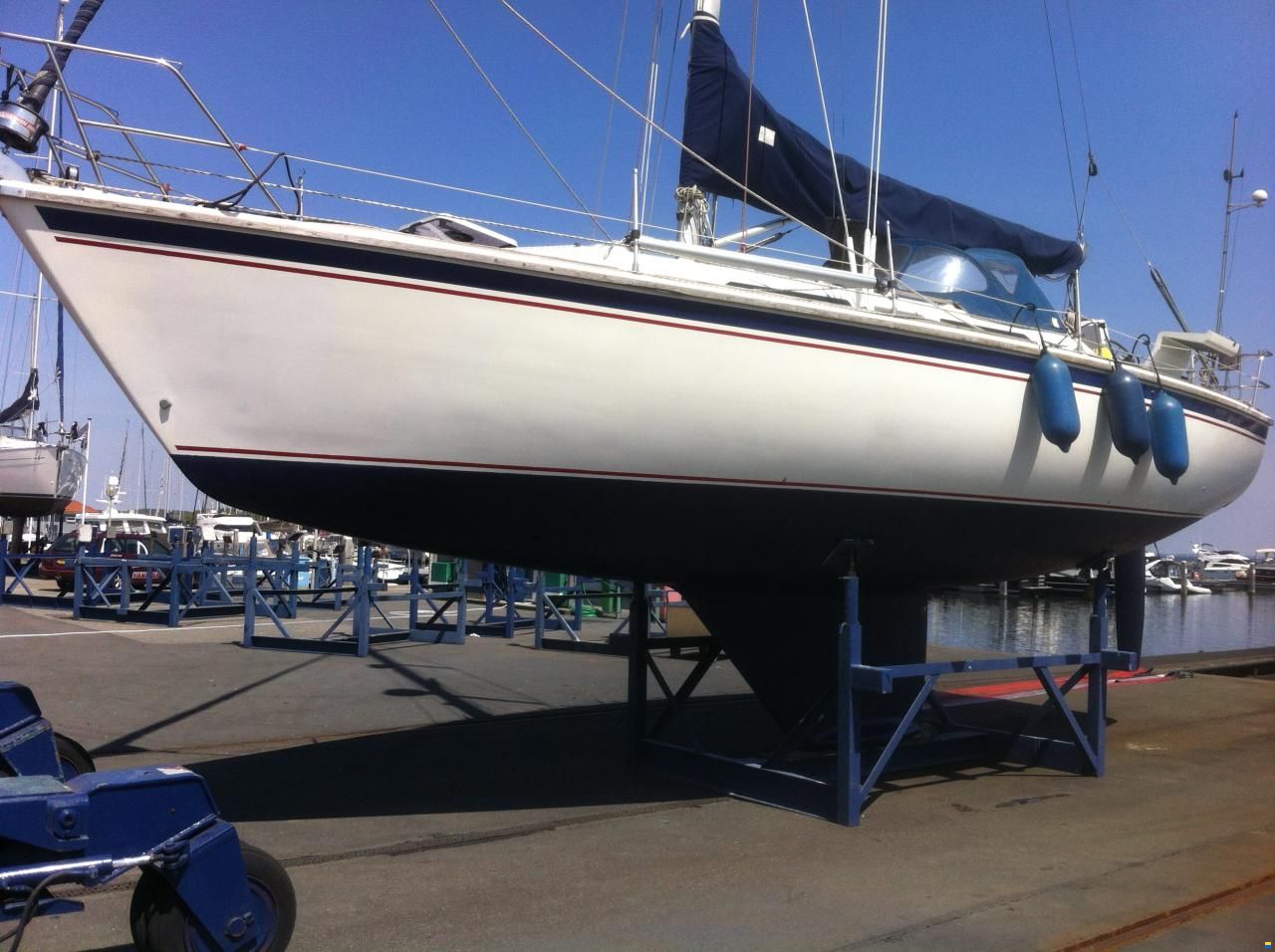 Westerly Typhoon 37