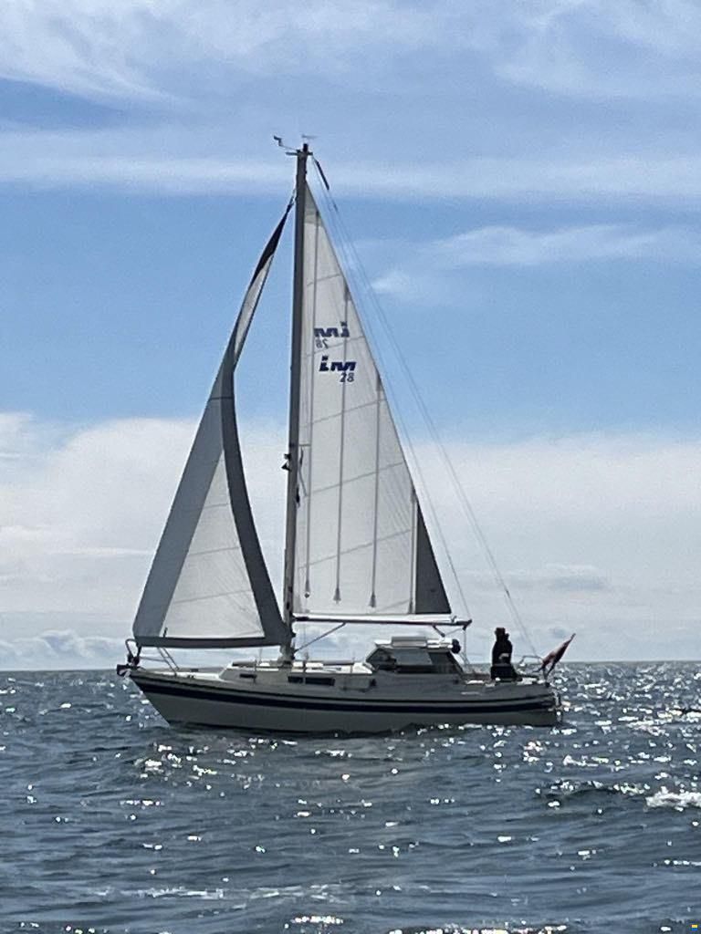 LM 28