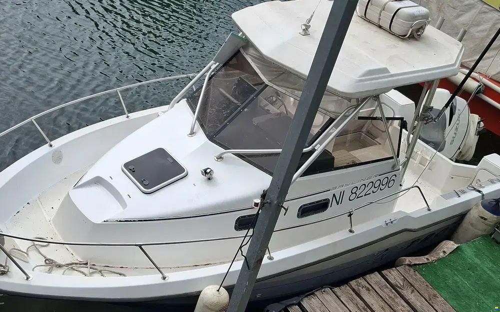 Bayliner Trophy 2502