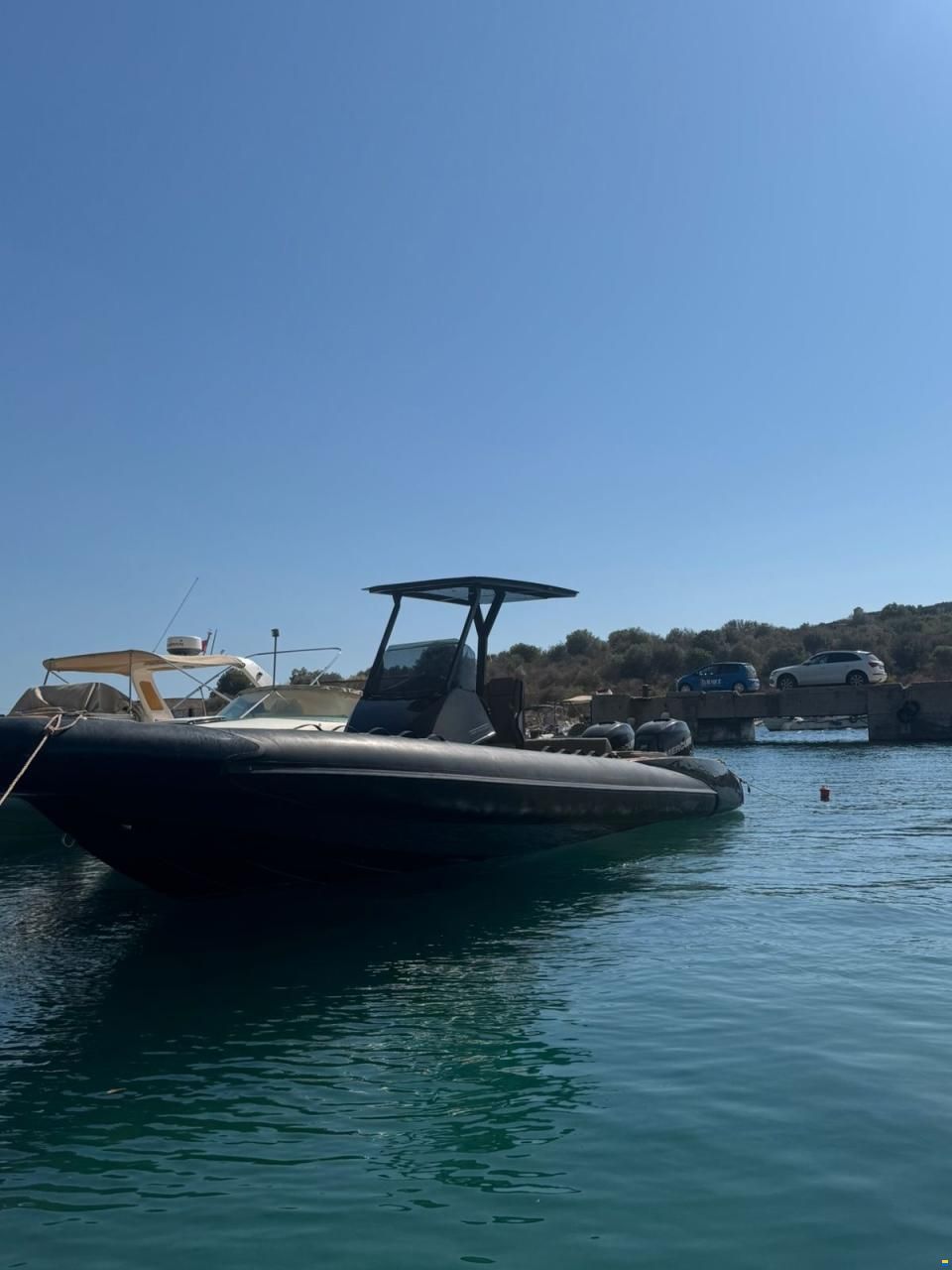 Ribeye Bora929