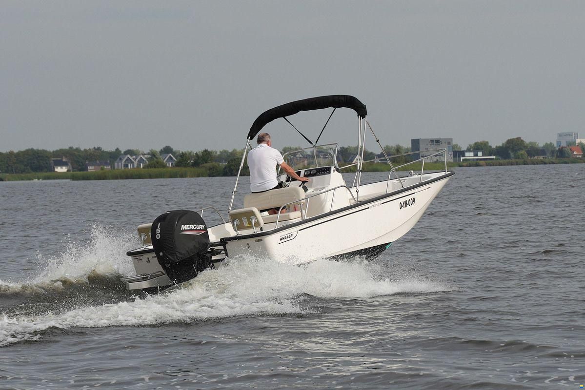 Boston Whaler 190 Montauk