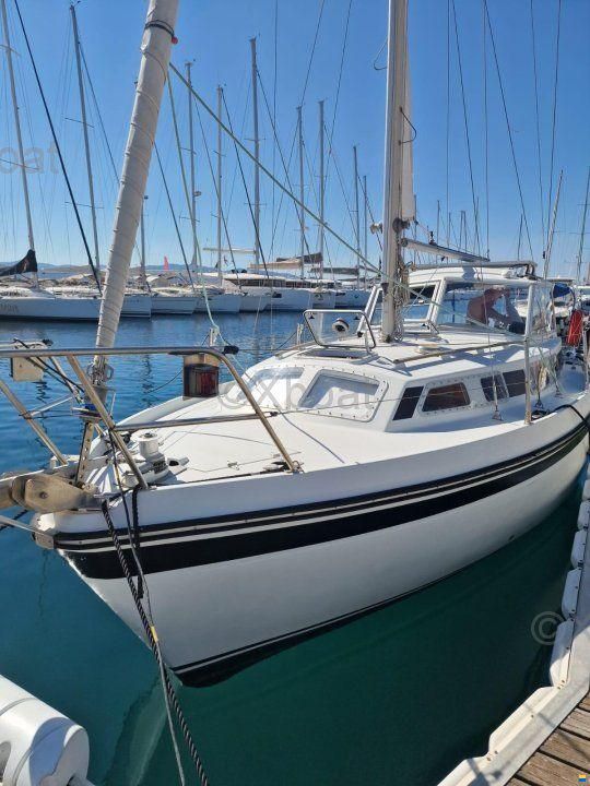 Kirie FIFTY 27