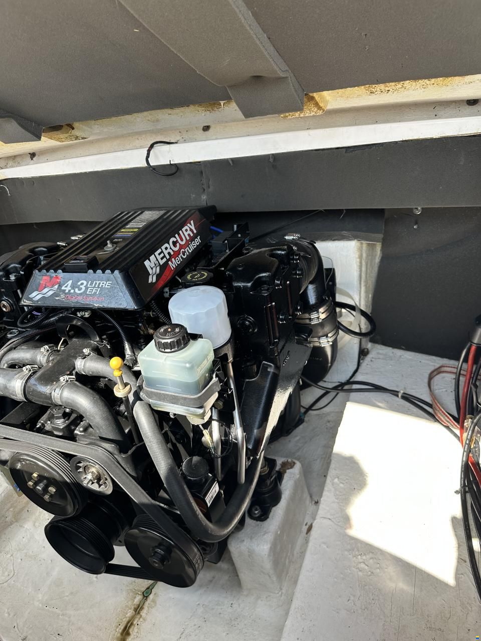 Rio 600 Day