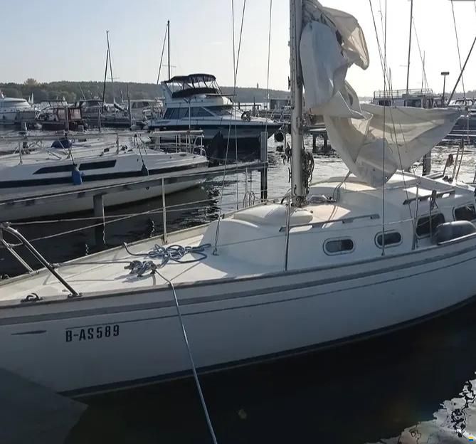 Shipman 28