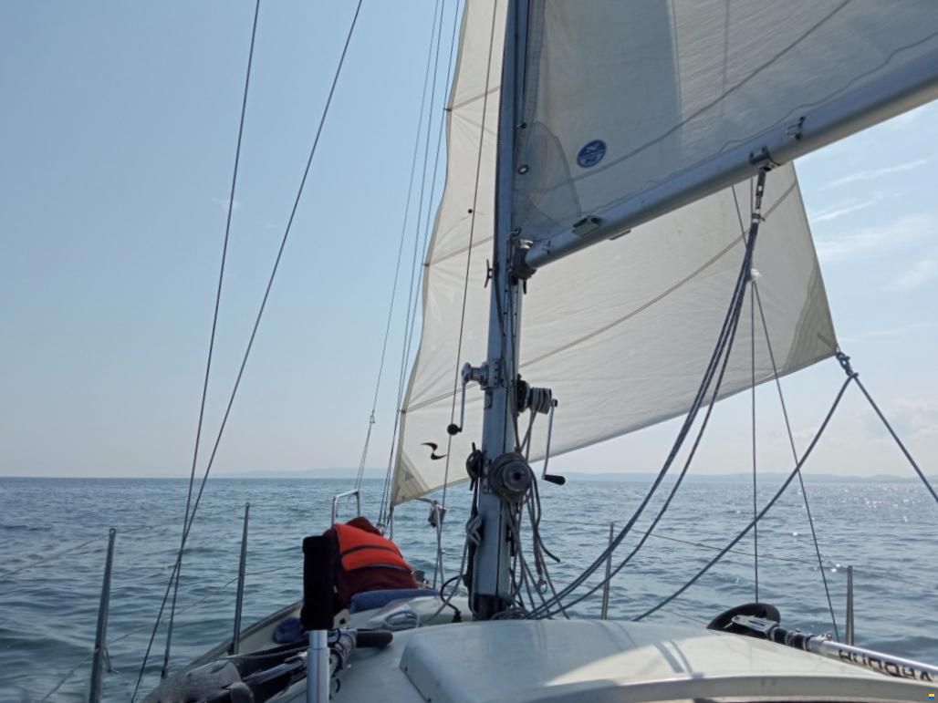 Shipman 28