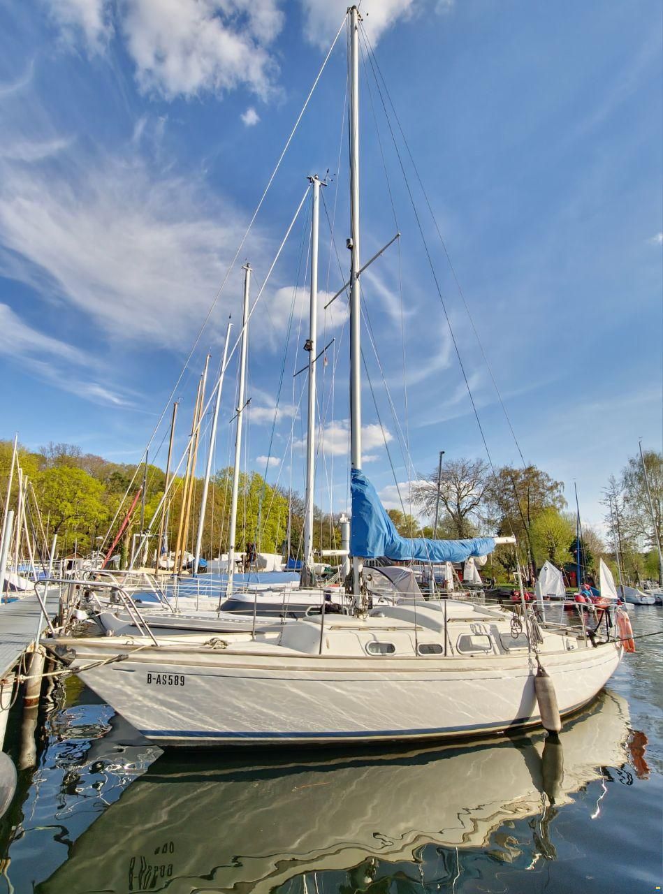 Shipman 28