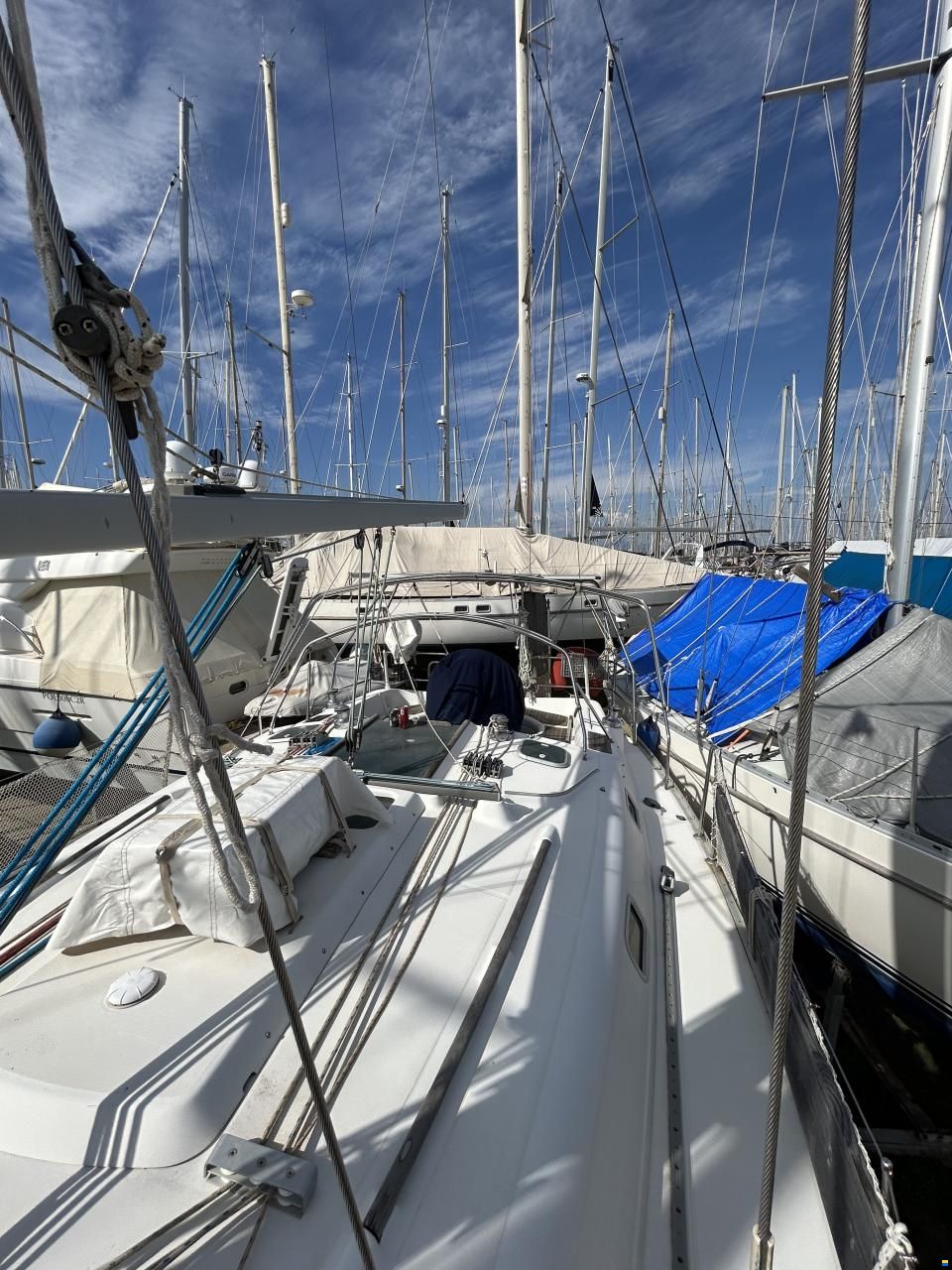 Oceanic Clipper 361
