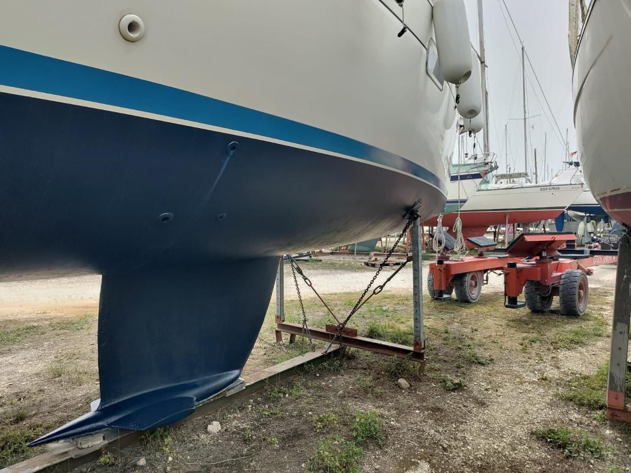 Oceanic Clipper 361