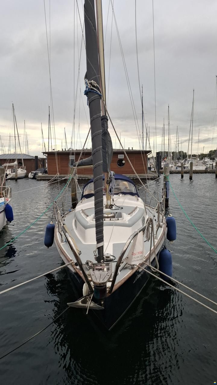Wauquiez Victorian 27