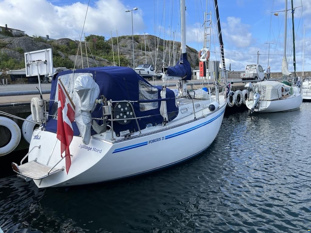 Forgus 31