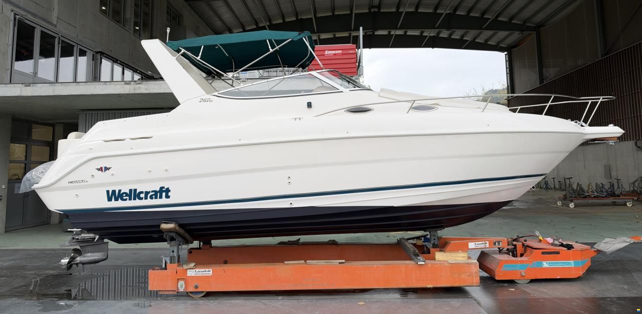 Wellcraft Excel 260 SE