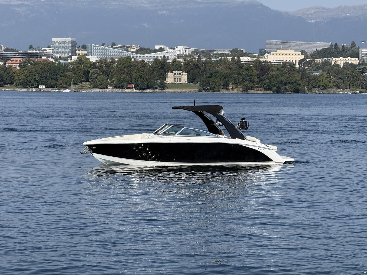 Cobalt R7 surf