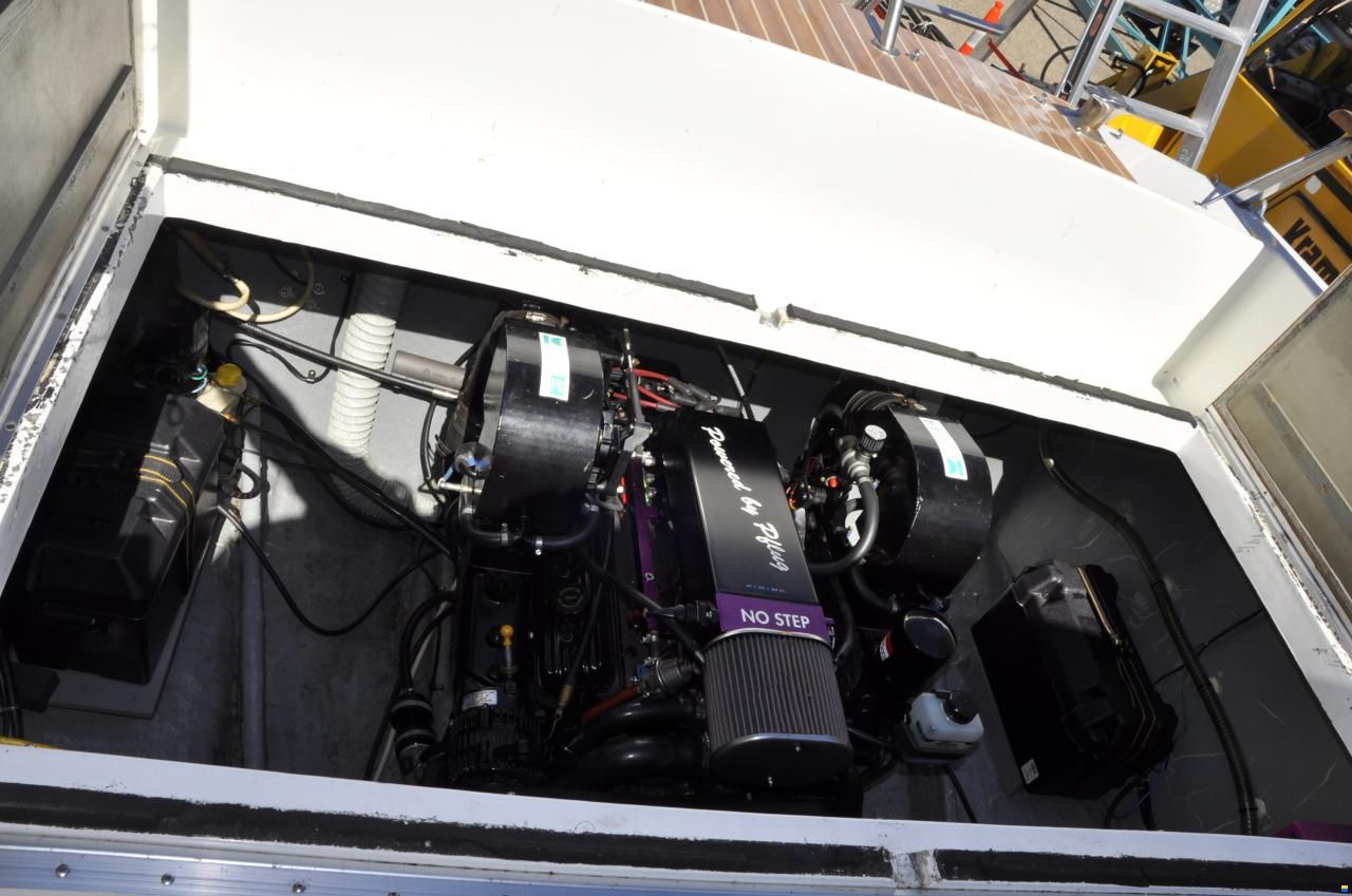 Windy 24 Pflug powered Duoprop Edelstahl