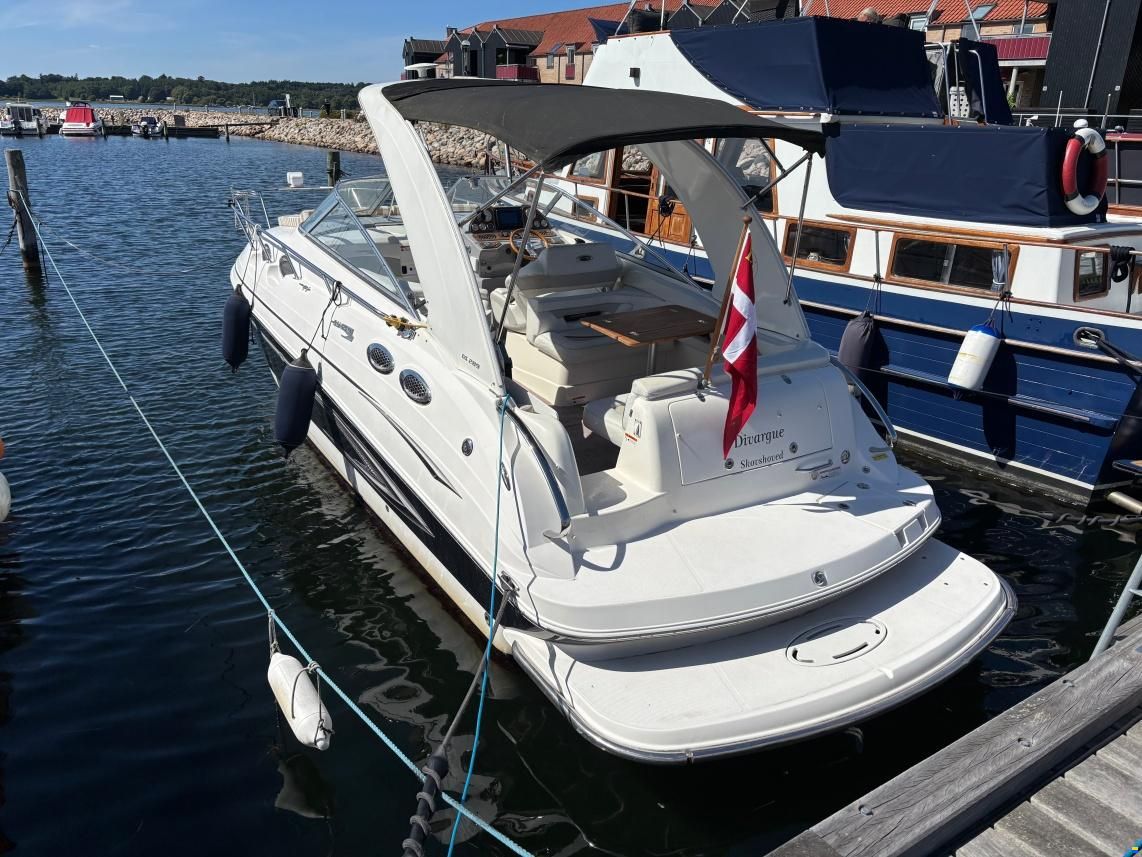 Glastron 289 GS