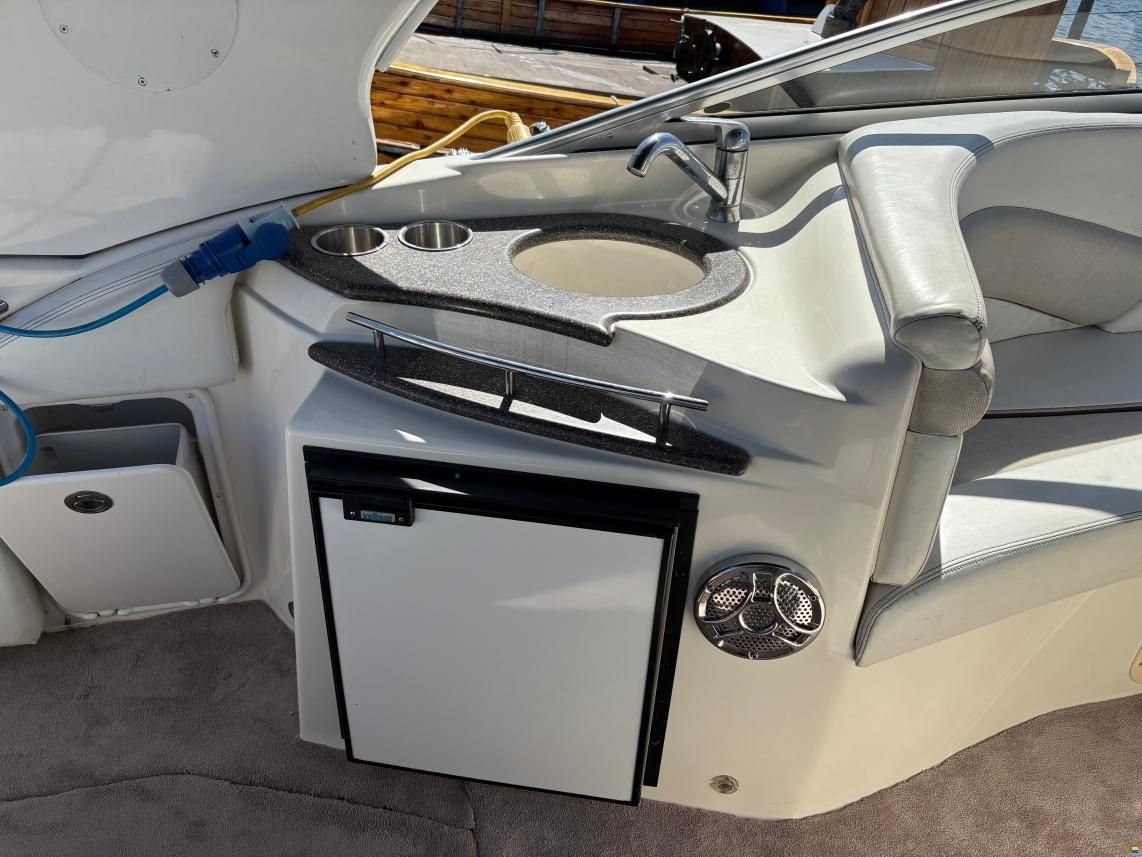 Glastron 289 GS