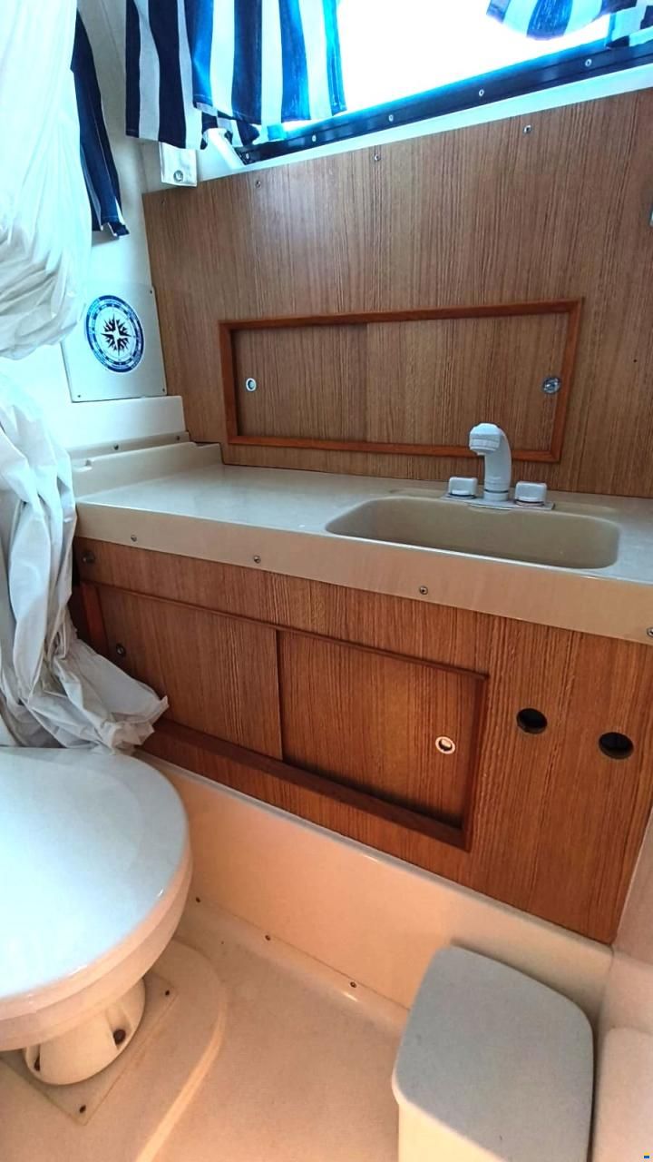 Bertram 28 Flybridge