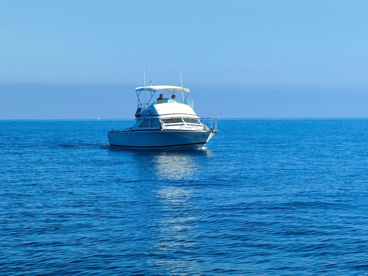 Bertram 28 Flybridge