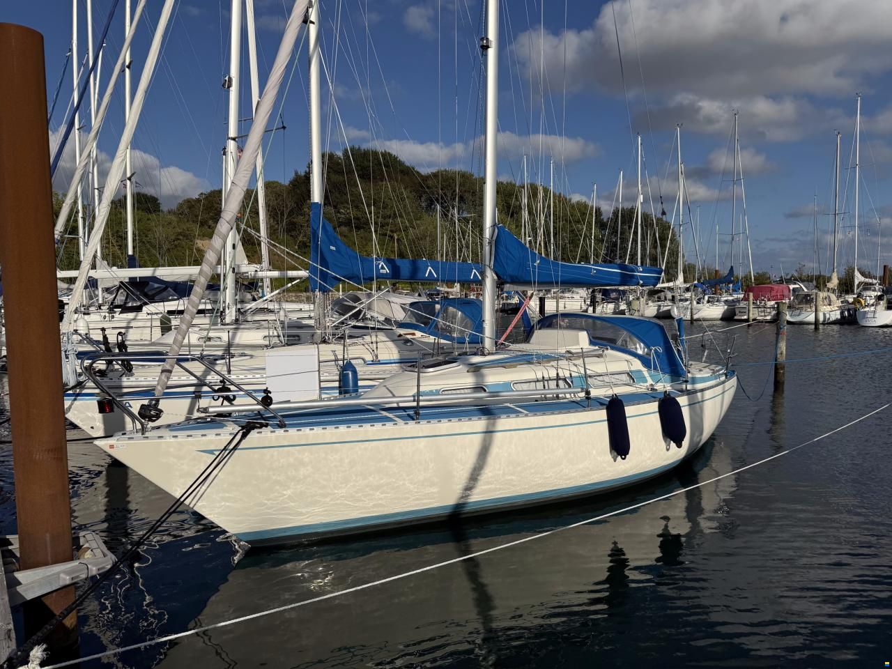 Colina L29