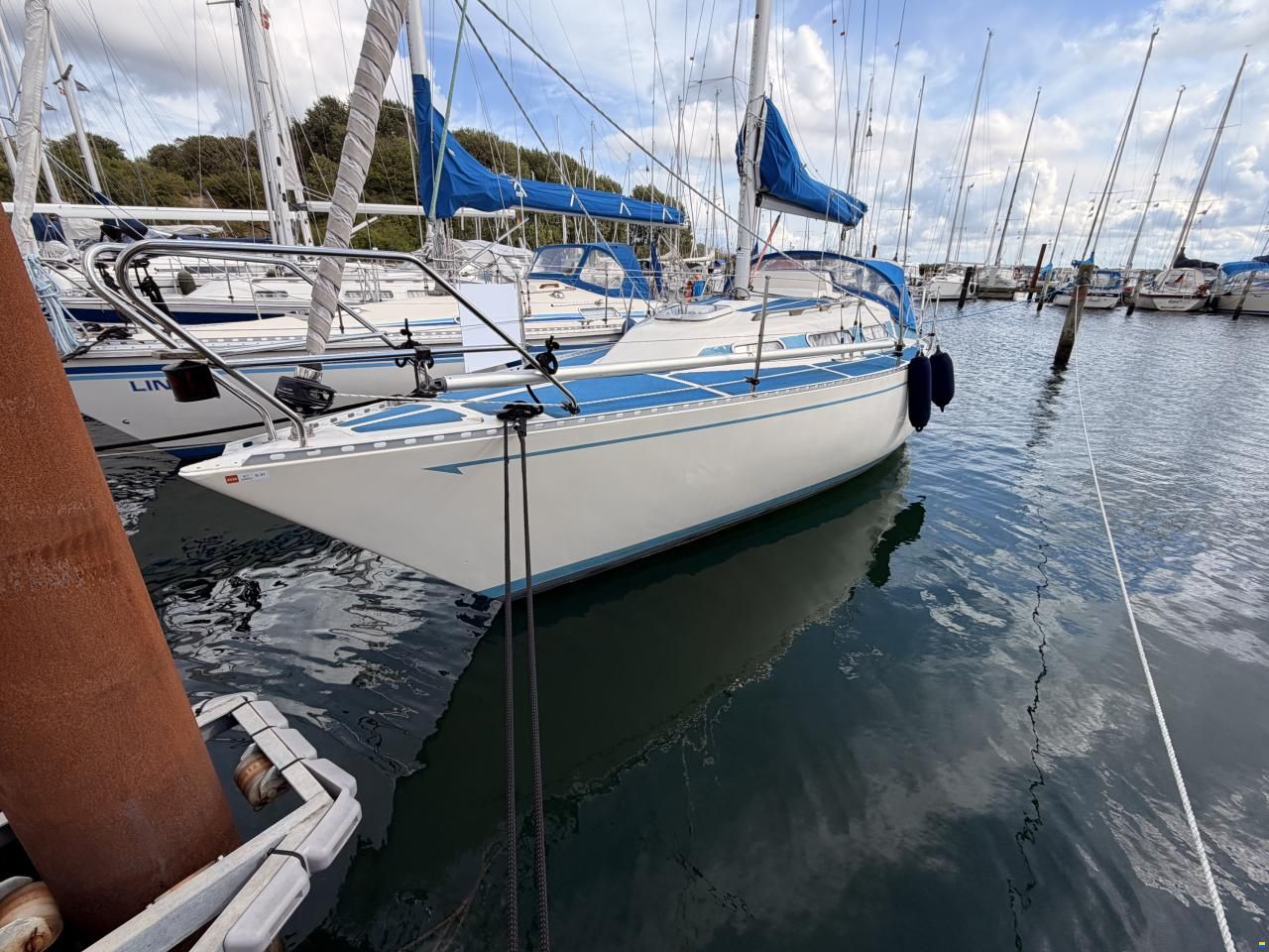 Colina L29