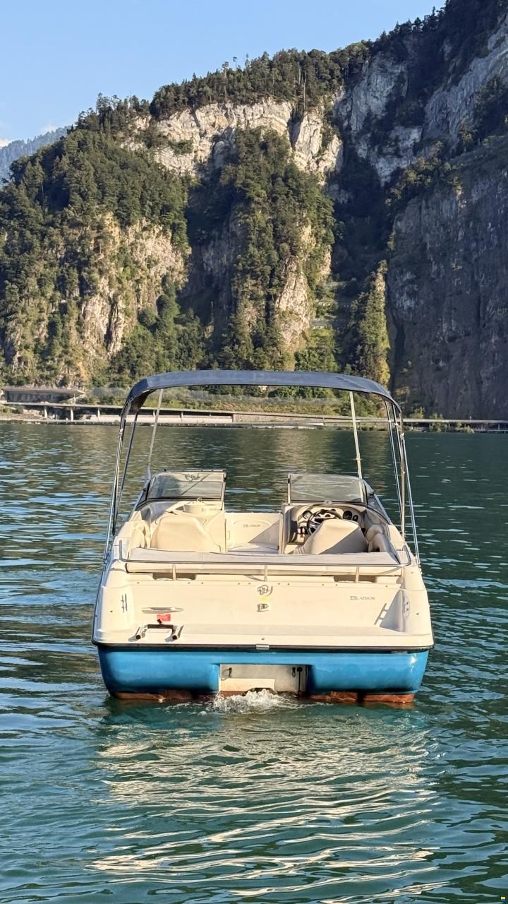 Larson SEI 235 BR