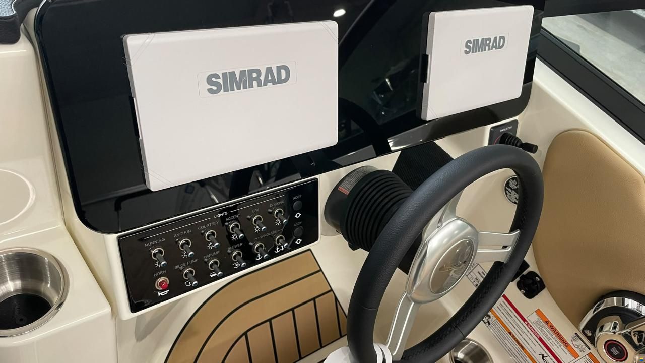 Sea Ray SDX 230