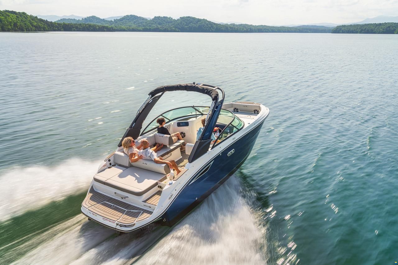 Sea Ray SDX 230