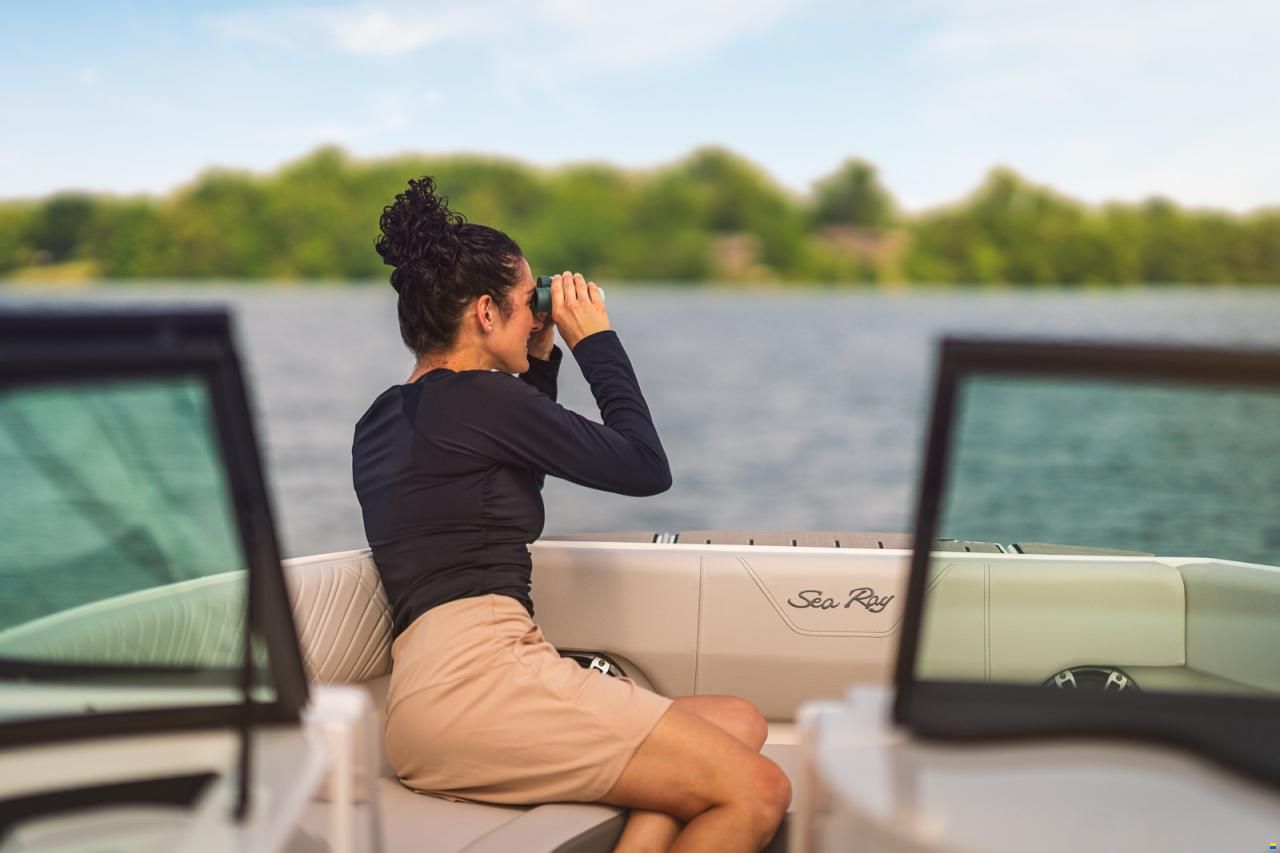 Sea Ray SDX 230
