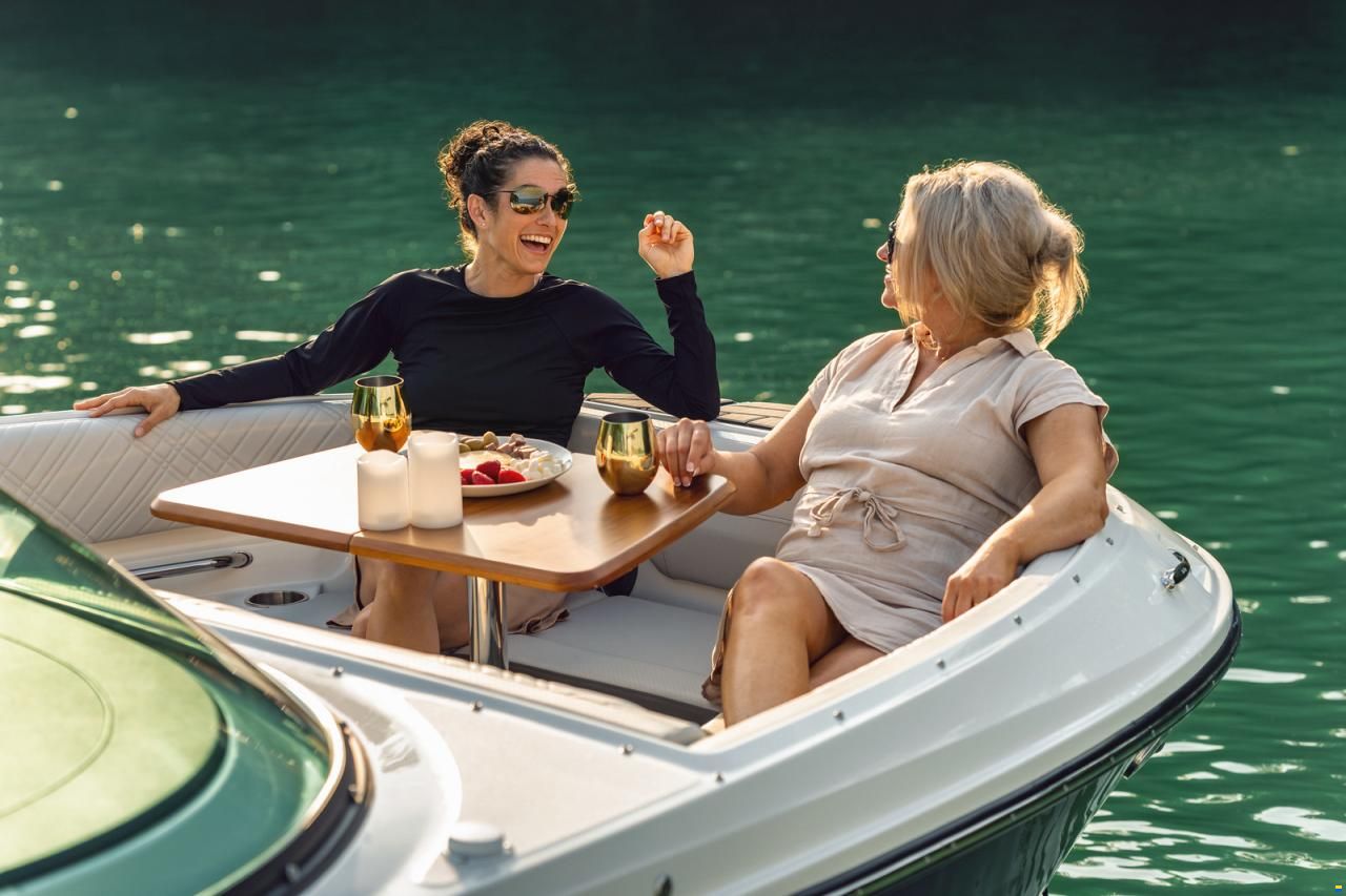 Sea Ray SDX 230