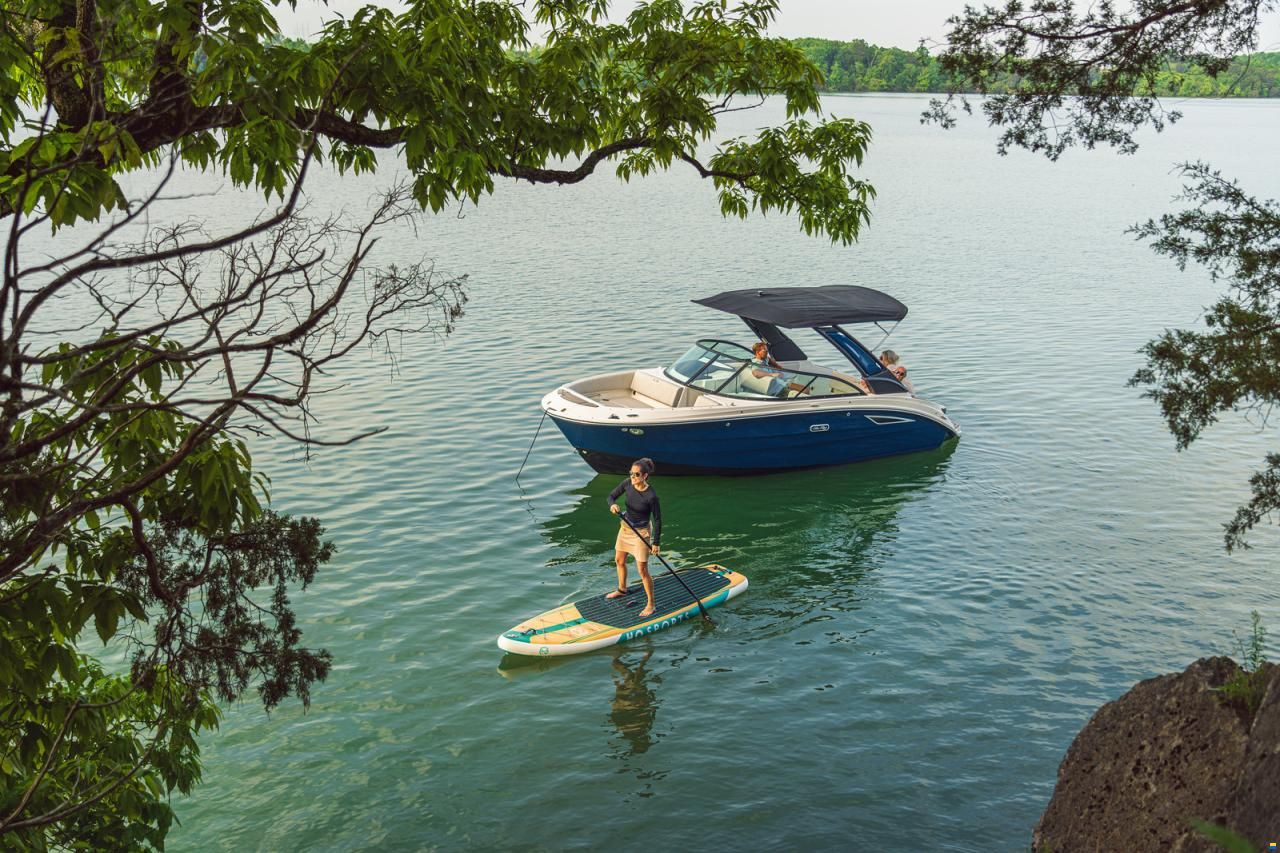 Sea Ray SDX 230