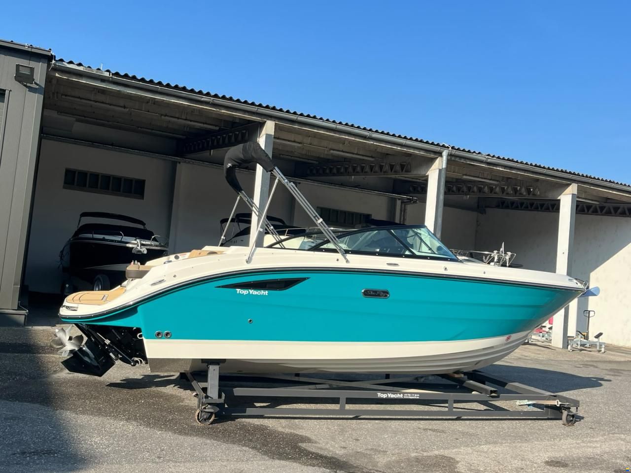 Sea Ray SDX 230
