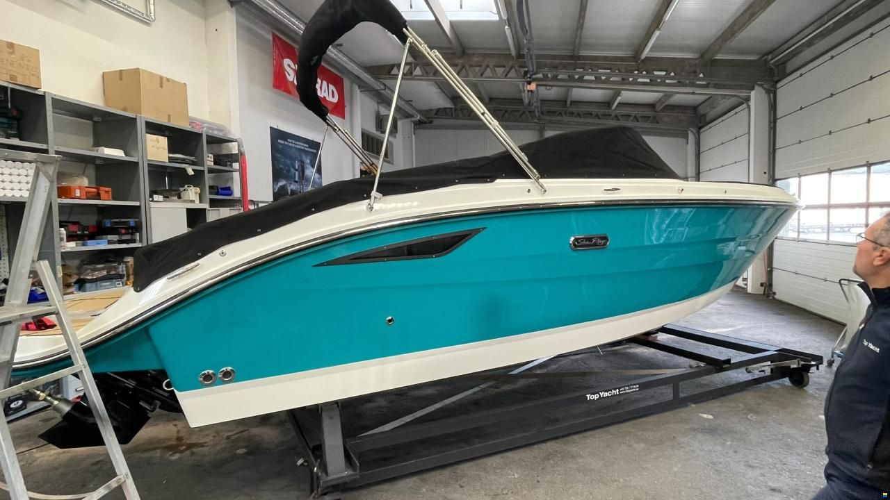 Sea Ray SDX 230