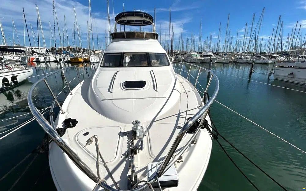 Sea Ray 455 Sedan Bridge