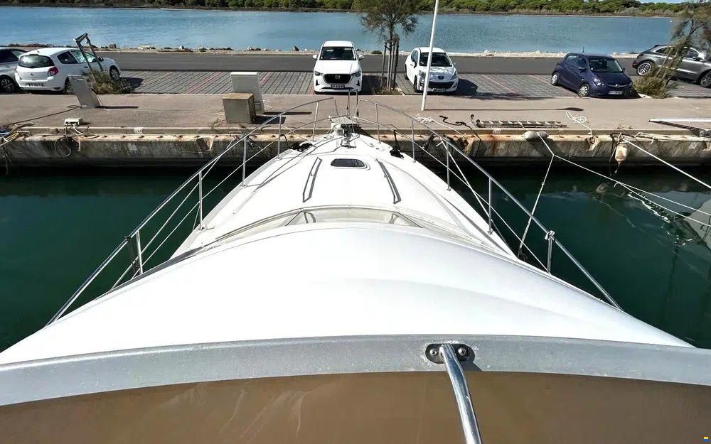 Sea Ray 455 Sedan Bridge